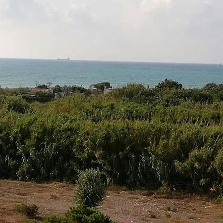 Apartamento Playa Canet バレンシア エクステリア 写真