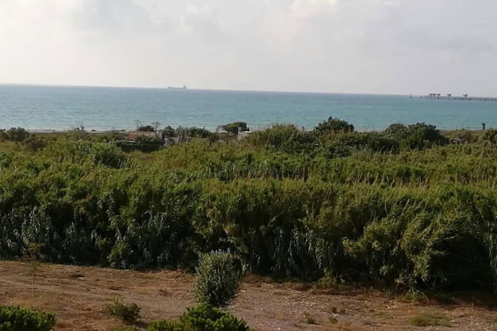 Apartamento Playa Canet バレンシア エクステリア 写真
